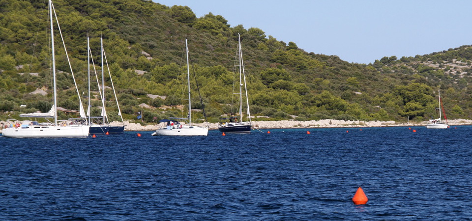 Sidrišče Potkučina, Borovnjak Mali, Kakan Sidrišče Potkučina, Borovnjak Mali, Kakan